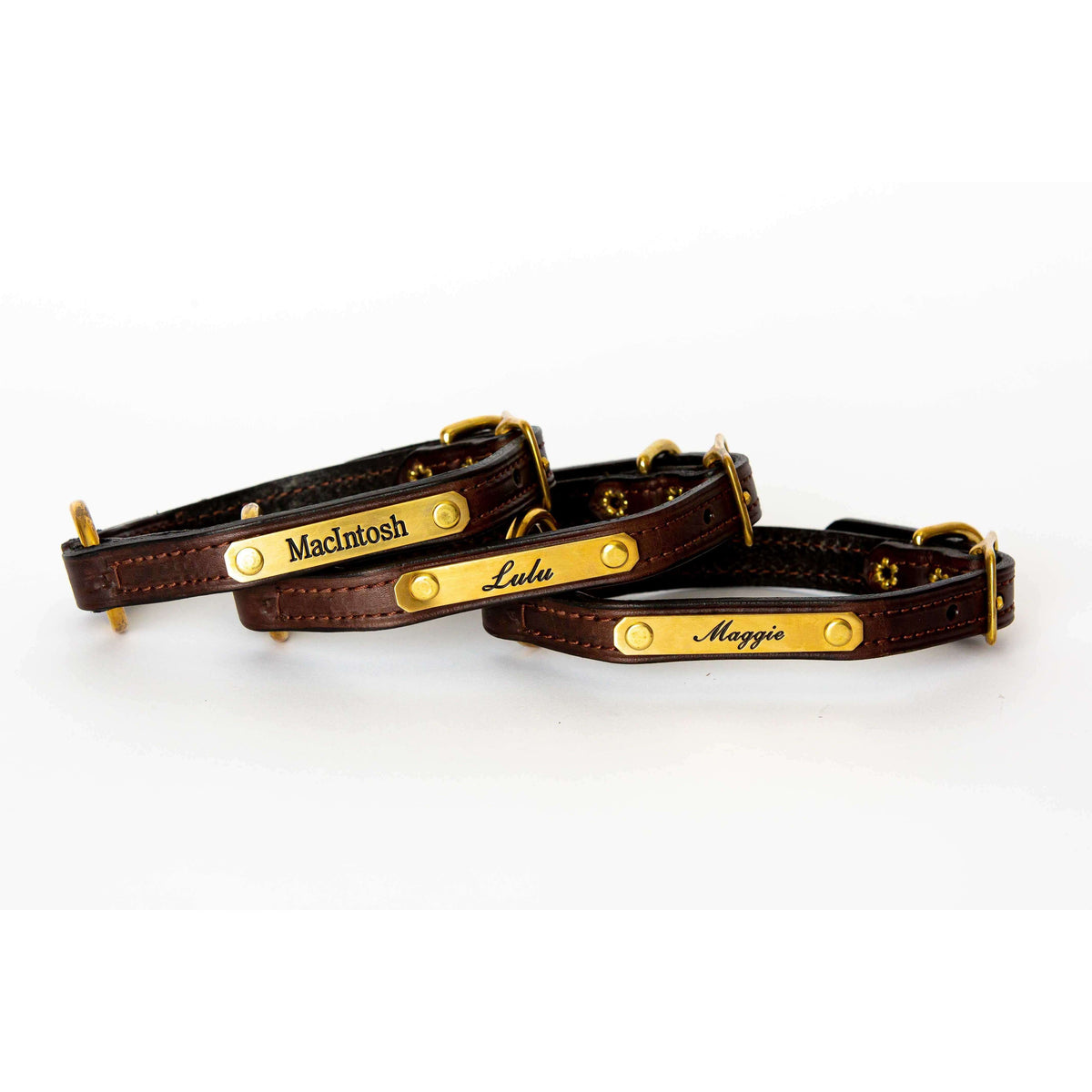 Premium Dog Collar for Small Dogs – Bluegrass Provisions Co